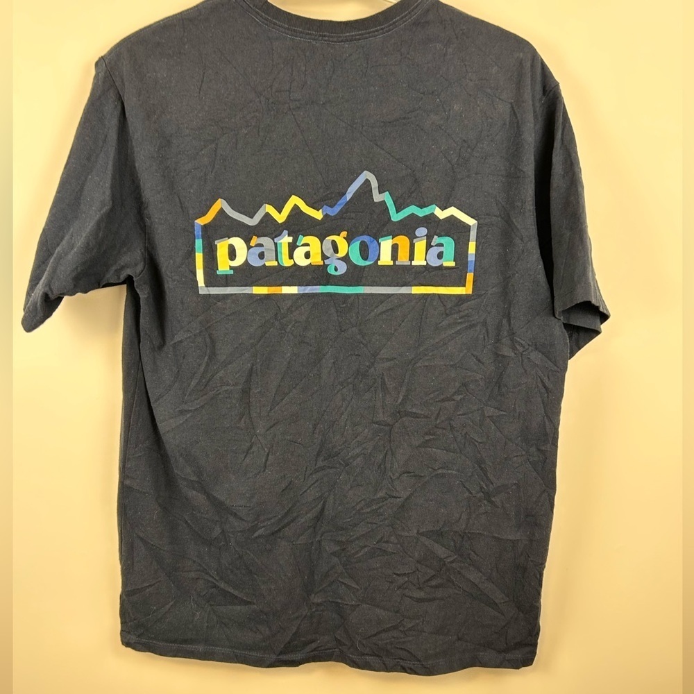 Patagonia Short-Sleeve T-Shirt with back Logo size men’s small black planet logo